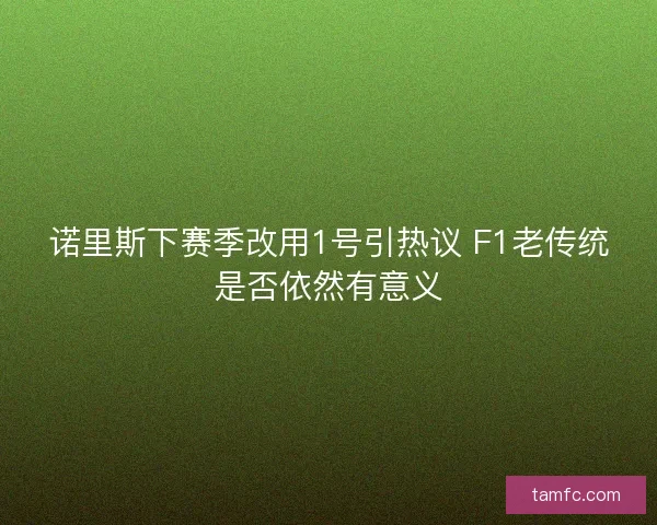 诺里斯下赛季改用1号引热议 F1老传统是否依然有意义