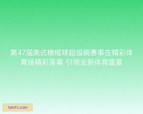 第47届美式橄榄球超级碗赛事在精彩体育场精彩落幕 引领全新体育盛宴